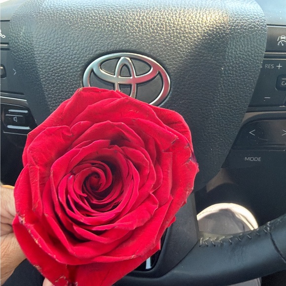 nailgrl34